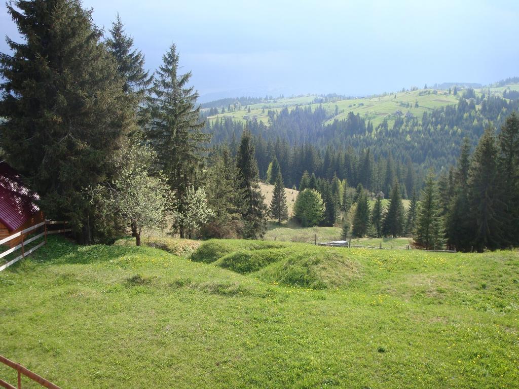 מלון יבלוניצה Panorama Karpat מראה חיצוני תמונה